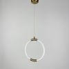 Дизайнерський латунний підвіс круг з гнучкою LED стрічкою