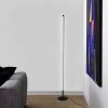 Мінімалістичний та стильний торшер Pipeline Floor lamp
