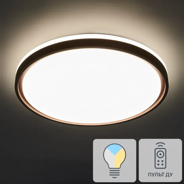 LED Світильник SML-R48-80/2 80Вт з дистанційним пультом