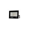 Прожектор світлодіодний RAY 10W 6000K IP65