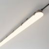Світильник LED RAYFOR WL01 1200мм 40W 6400Lm 3CCT IP66 Philips