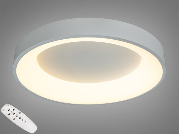 Світильник із регульованим кольором світіння 50W 2166-500WH