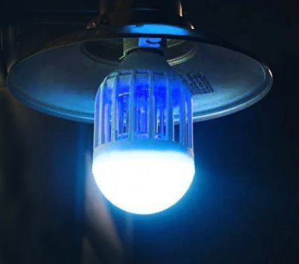 Лампочка від комарів світлодіодна Noveen IKN803 LED