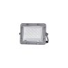 LED прожектор CARBON VIOLUX 10W 5000K IP65