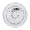 LED Світильник GRILL зоряне небо Ø 37 см 72W з пультом