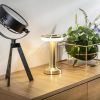 Настільна світлодіодна лампа на акумуляторі GTV DECOR MONUM 3W 3000K золота