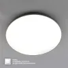 LED Світильник MOON Ø 38 см 50 Вт білий з срібним