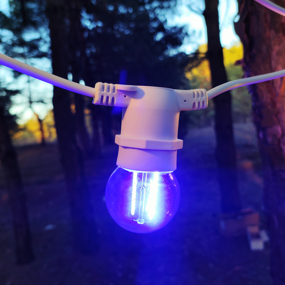 Led лампа FILAMENT  G45  2W, цоколь E27, синій