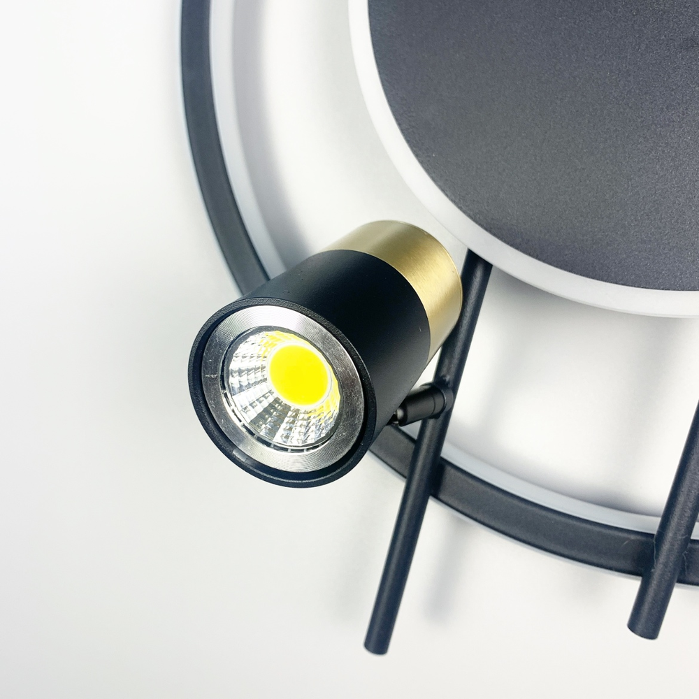 Стельовий дизайнерський світильник LED MJ 53/2+LED
