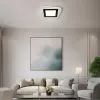 Світильник світлодіодний настінно - стельовий PLAZA 30W чорний