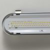 Світильник LED RAYFOR WL01 1200мм 40W 6400Lm 3CCT IP66 Philips