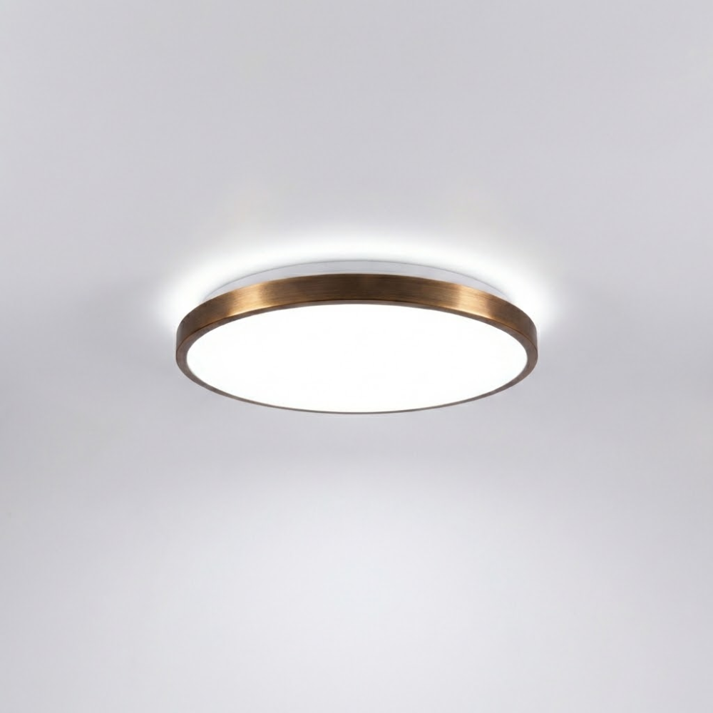 Світильник світлодіодний RING матовий 60W 39 см з пультом бронзовий