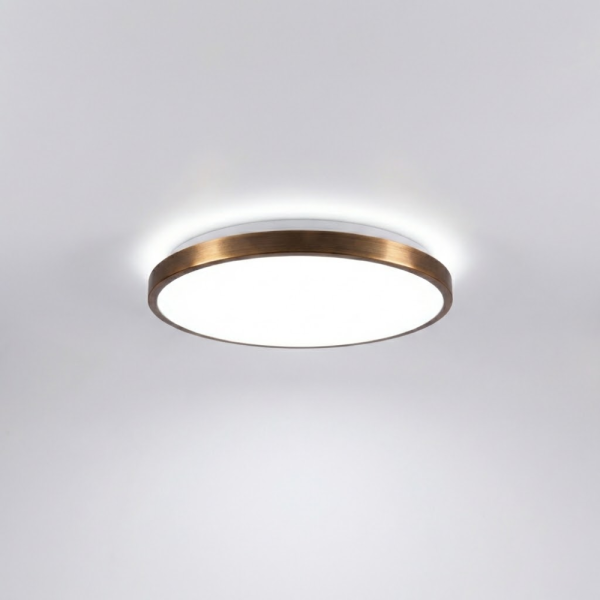 Світильник світлодіодний RING матовий 60W 39 см з пультом бронзовий
